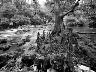 Hillsborough River Rapids
