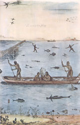 Long canoes