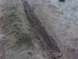 Prehistoric canoes site