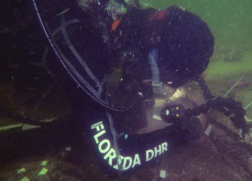 Diver with Florida DHR logo on sleeve
