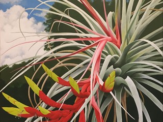 Floridian Fasciculata