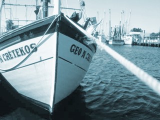 The Ripples In The Water