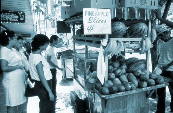 Folklife Collection on Florida Memory