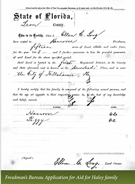 The Women of the Haley Family